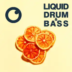 Liquid Drum & Bass Sessions 2021 Vol 44