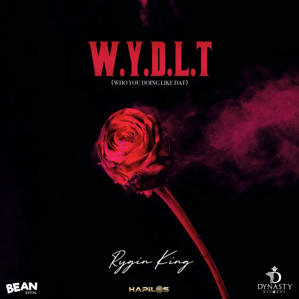 W.Y.D.L.T (Who You Doing Like That)