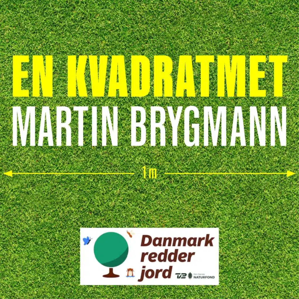 En Kvadratmet