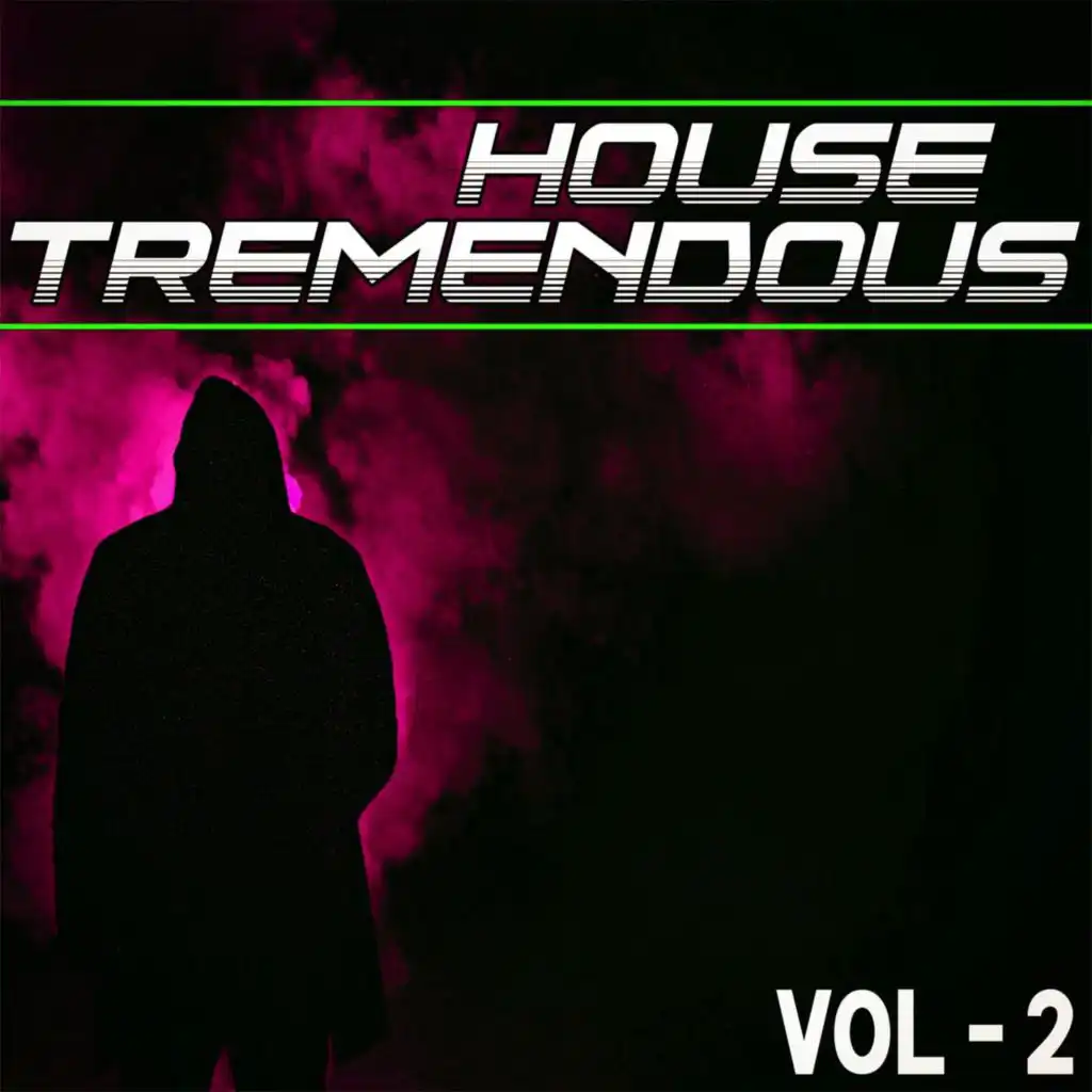 House Tremendous, Vol. 2 - Selected House Music for You