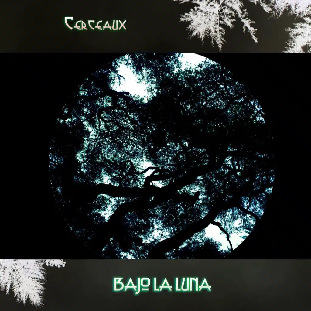 Bajo La Luna