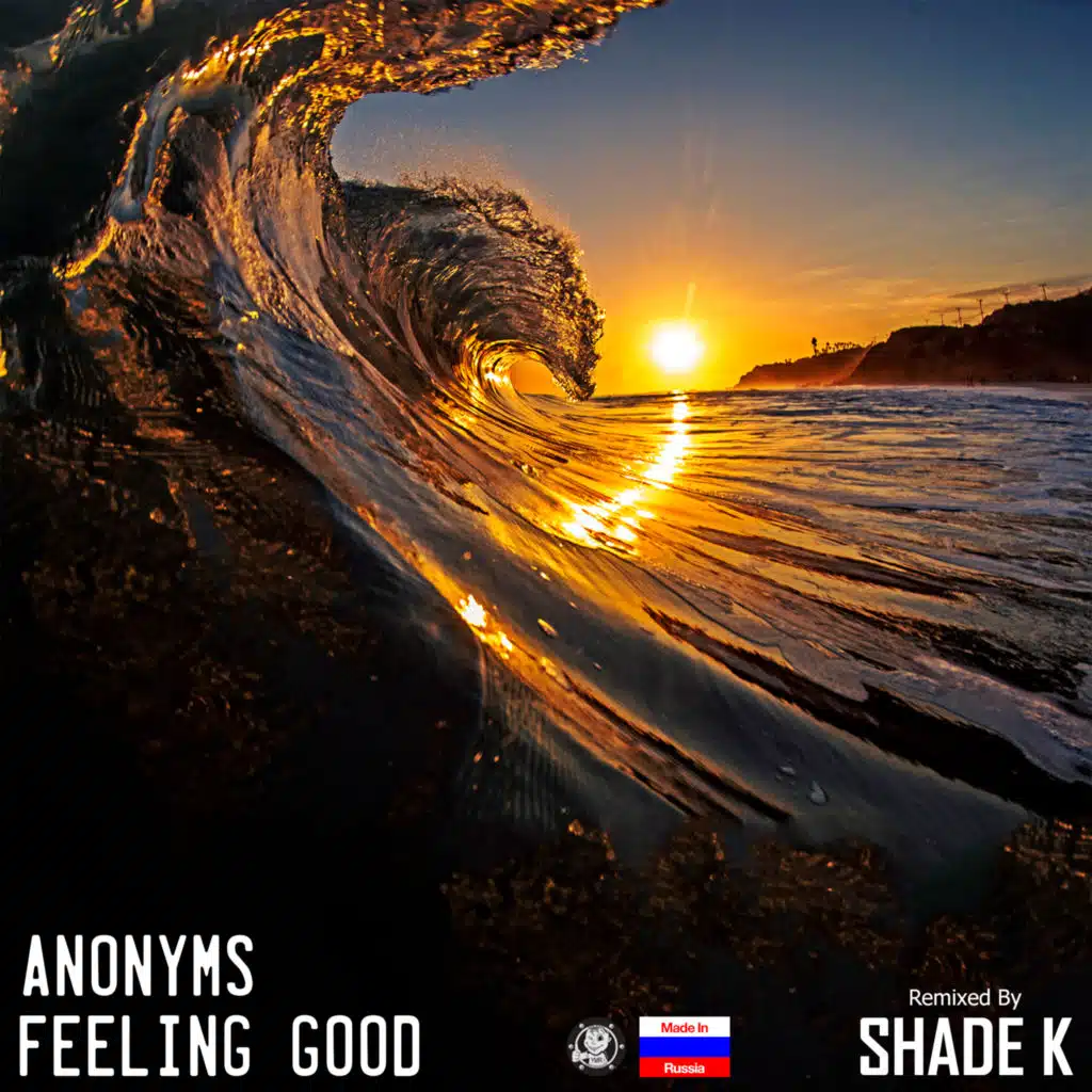 Feeling Good (Shade K Remix)
