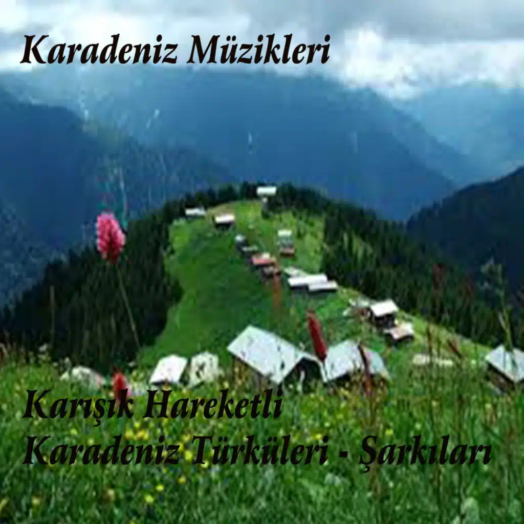 Karışık Hareketli Karadeniz Türküleri Şarkıları / Karadeniz Müzikleri