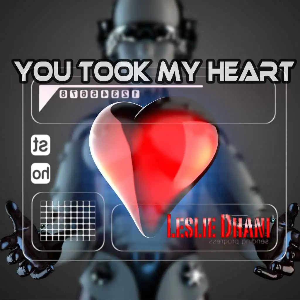 You Took My Heart (Chilltronic Downtempo Mix)