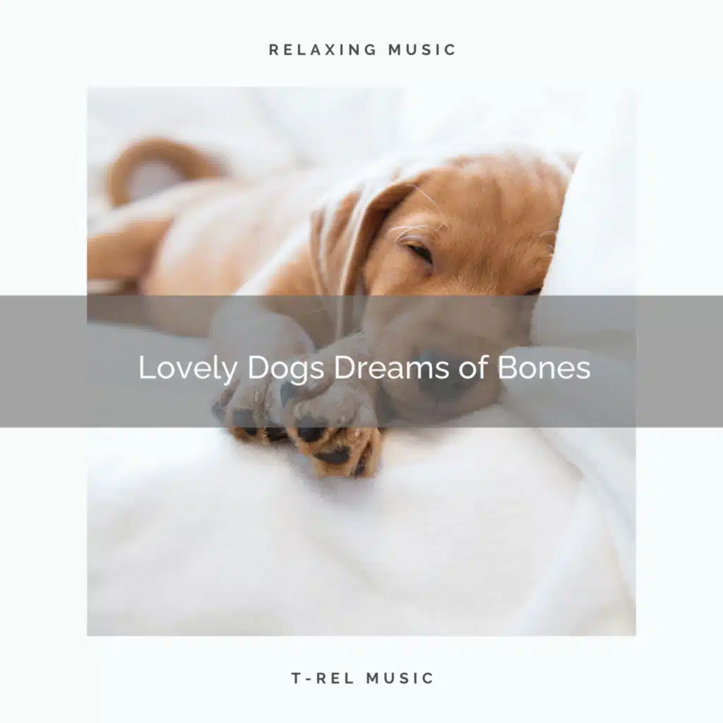 4 Legged: Lovely Dogs Dreams of Bones
