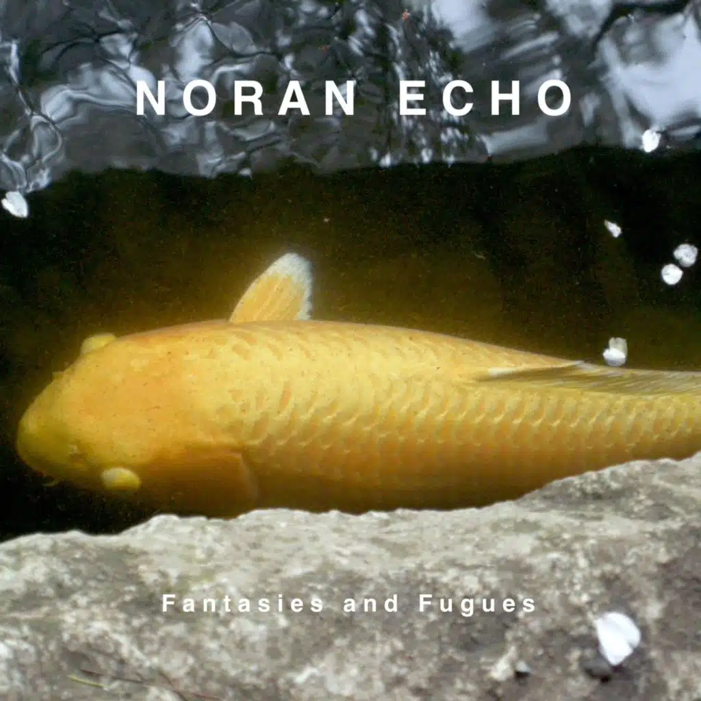 Noran Echo