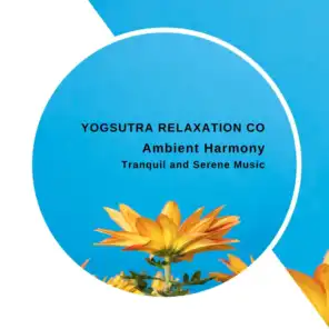 Yogsutra Relaxation Co