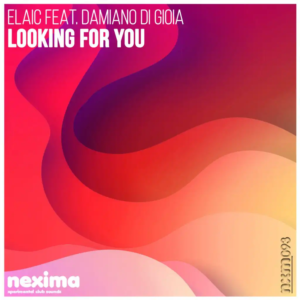 Looking For You (feat. Damiano Di Gioia) (Radio Edit)