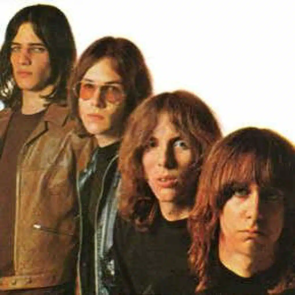 The Stooges
