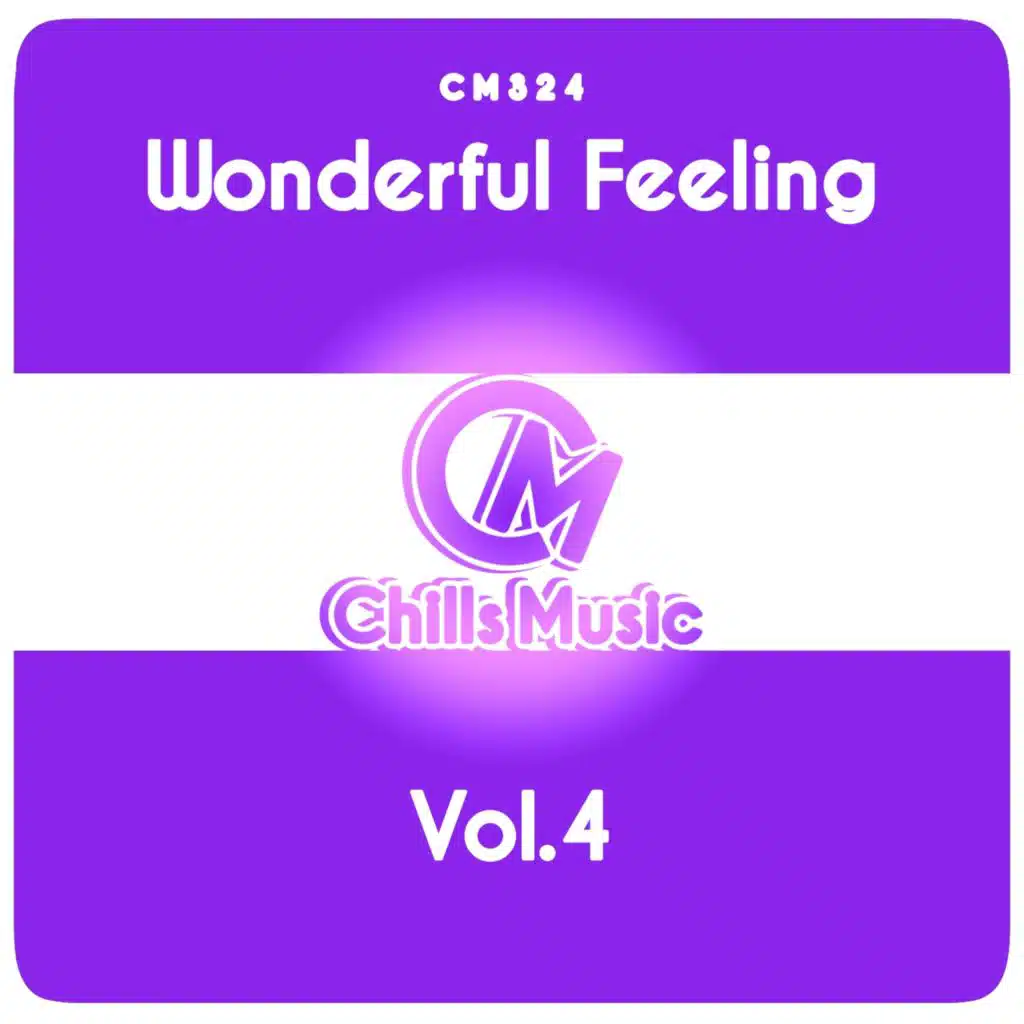 Wonderful Feeling, Vol.4