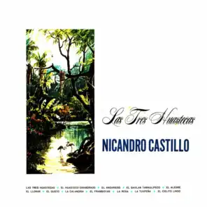 Nicandro Castillo