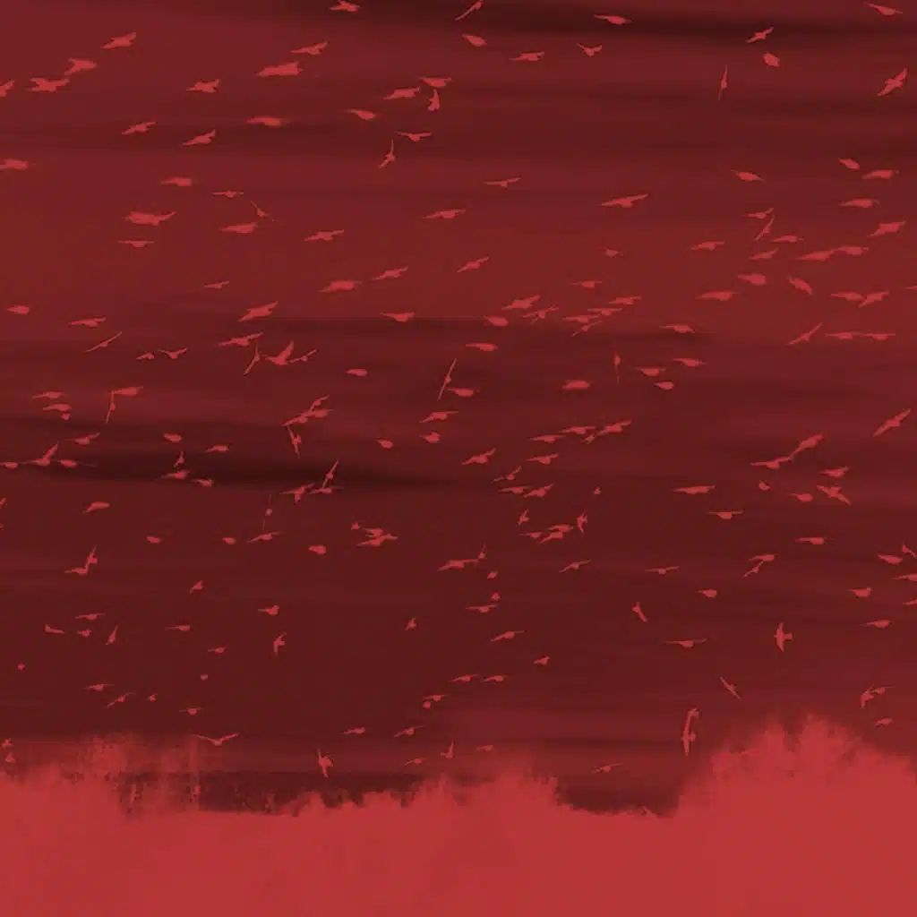 Thousands of Birds