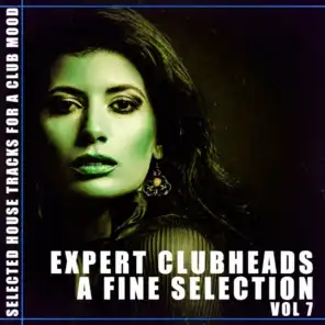 Expert Clubheads: A Fine Selection, Vol. 7