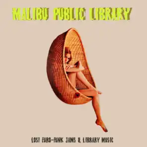 Malibu Public Library: Lost Euro-Funk Jams & Library Music
