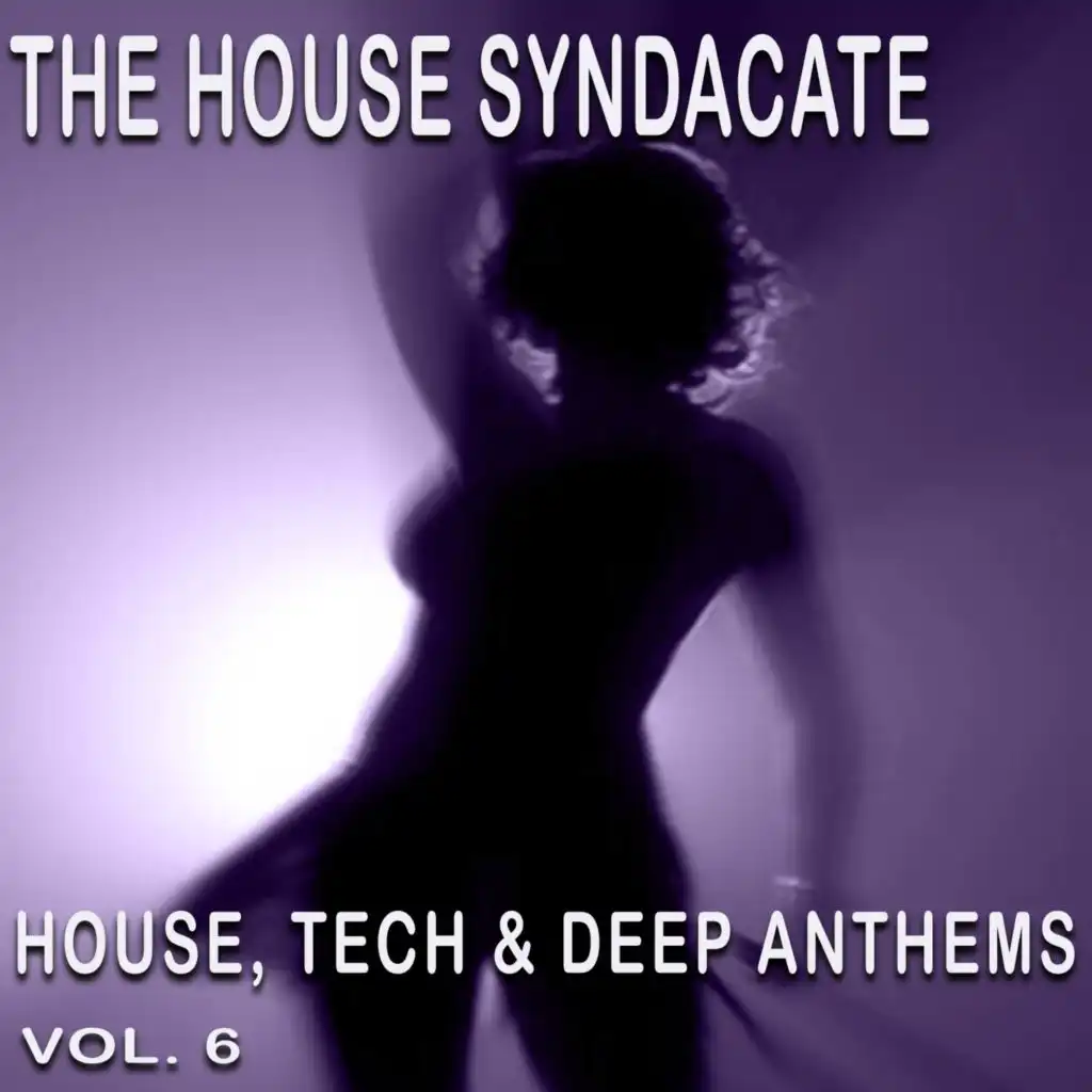 The House Syndacate, Vol. 6