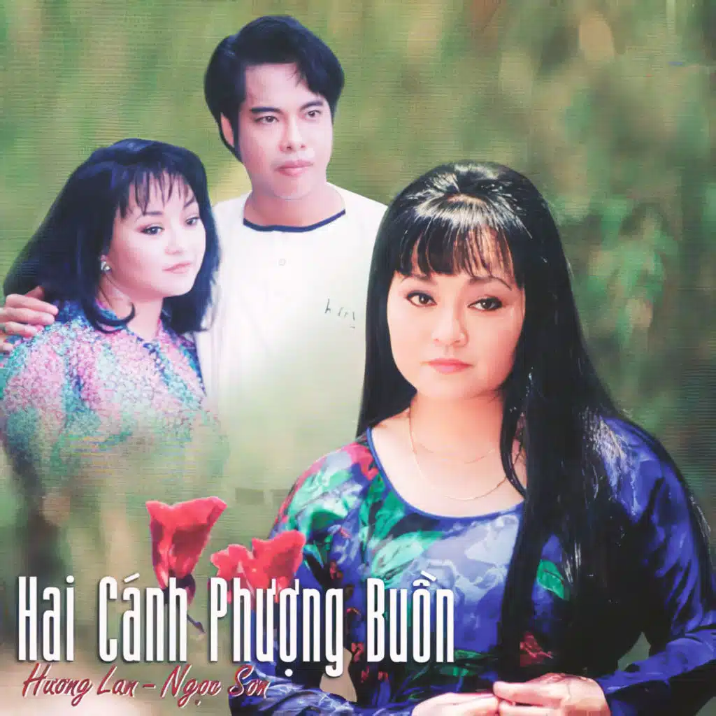 Giọt Lệ Trong Đêm