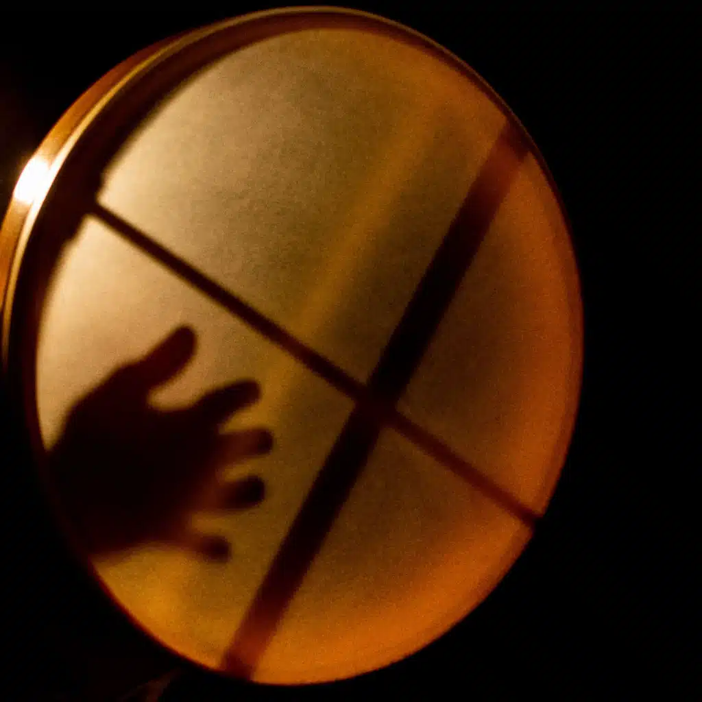 Sons para a Mente e o Corpo