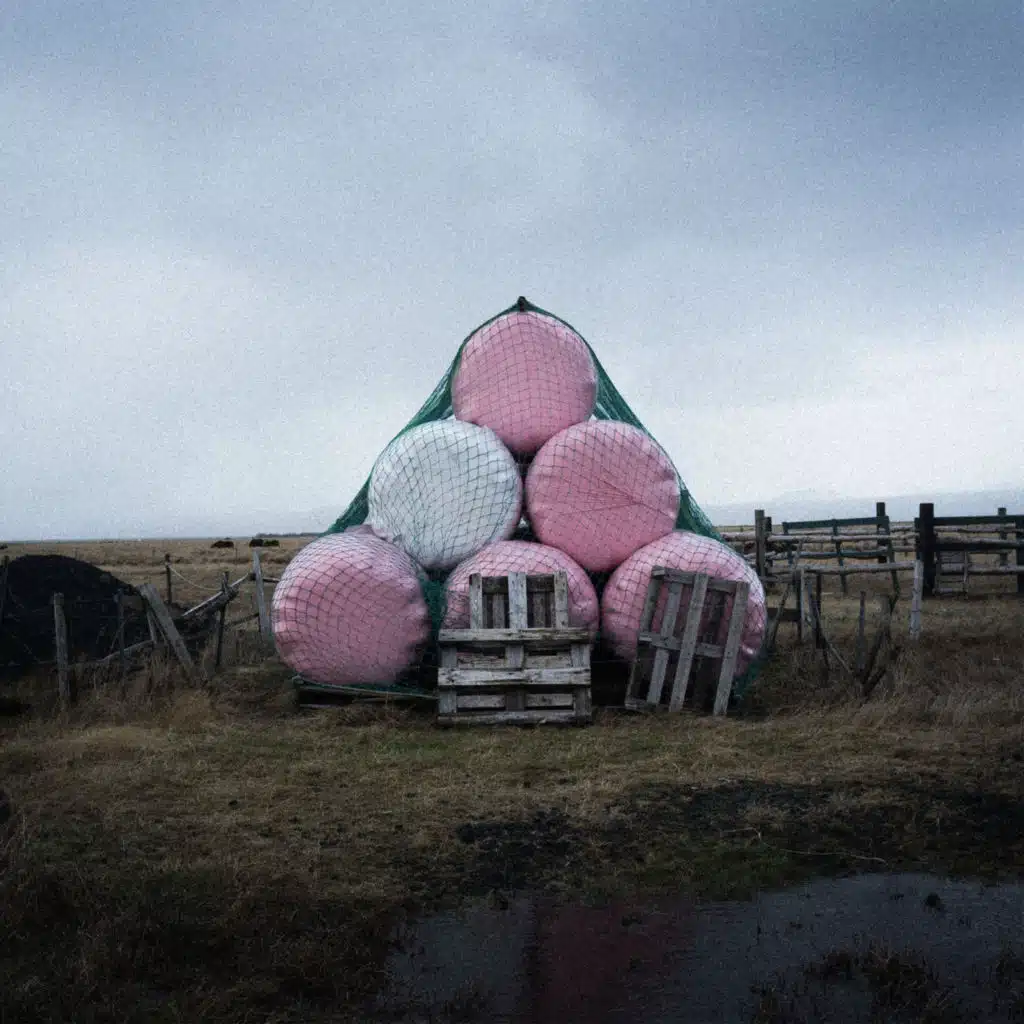 Bjarni Frímann Bjarnason