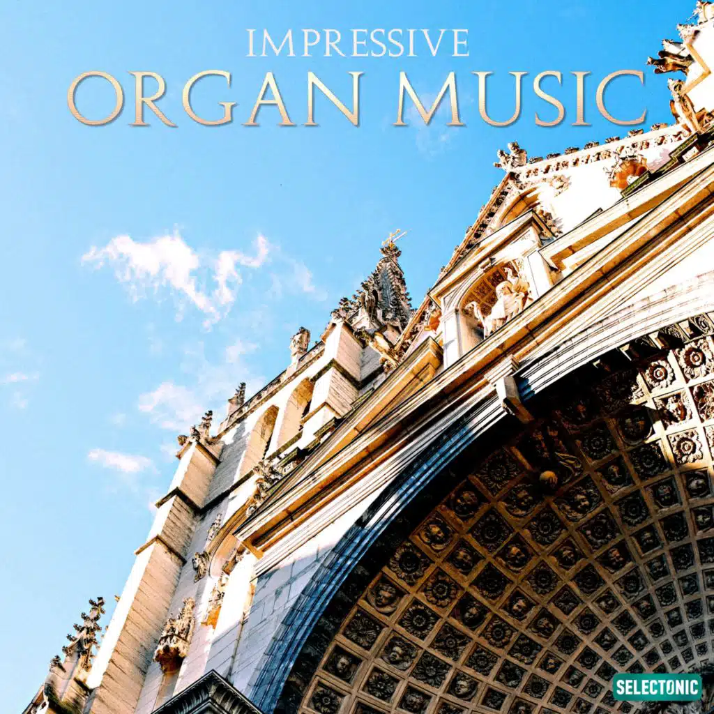 Impressive Organ Music, Vol. 13 (Organum Solo)