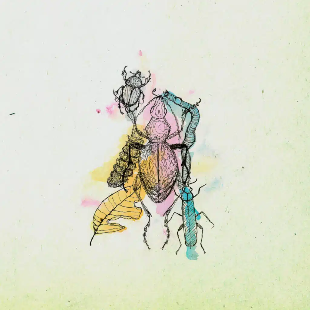 Imago