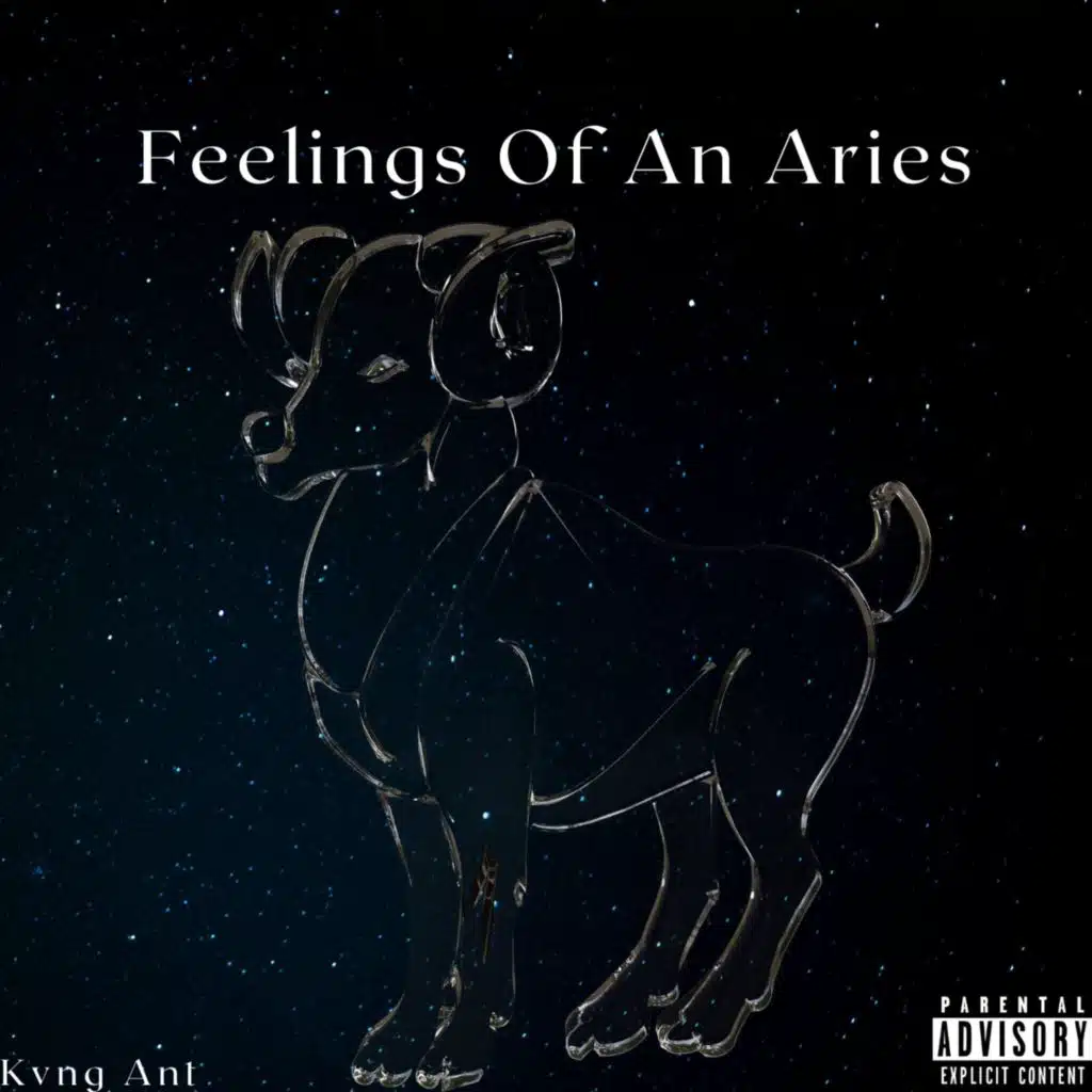 Feelings Of An Aries
