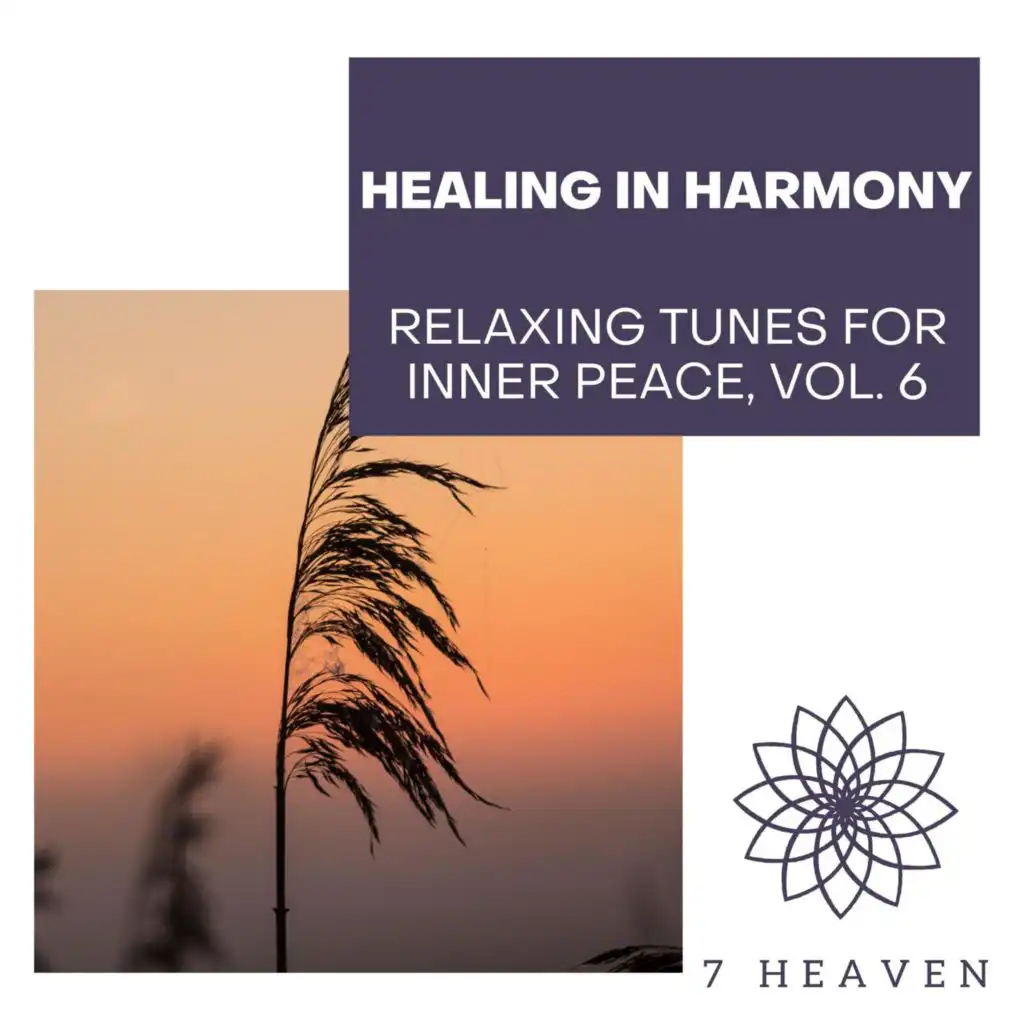 Healing In Harmony - Relaxing Tunes For Inner Peace, Vol. 6