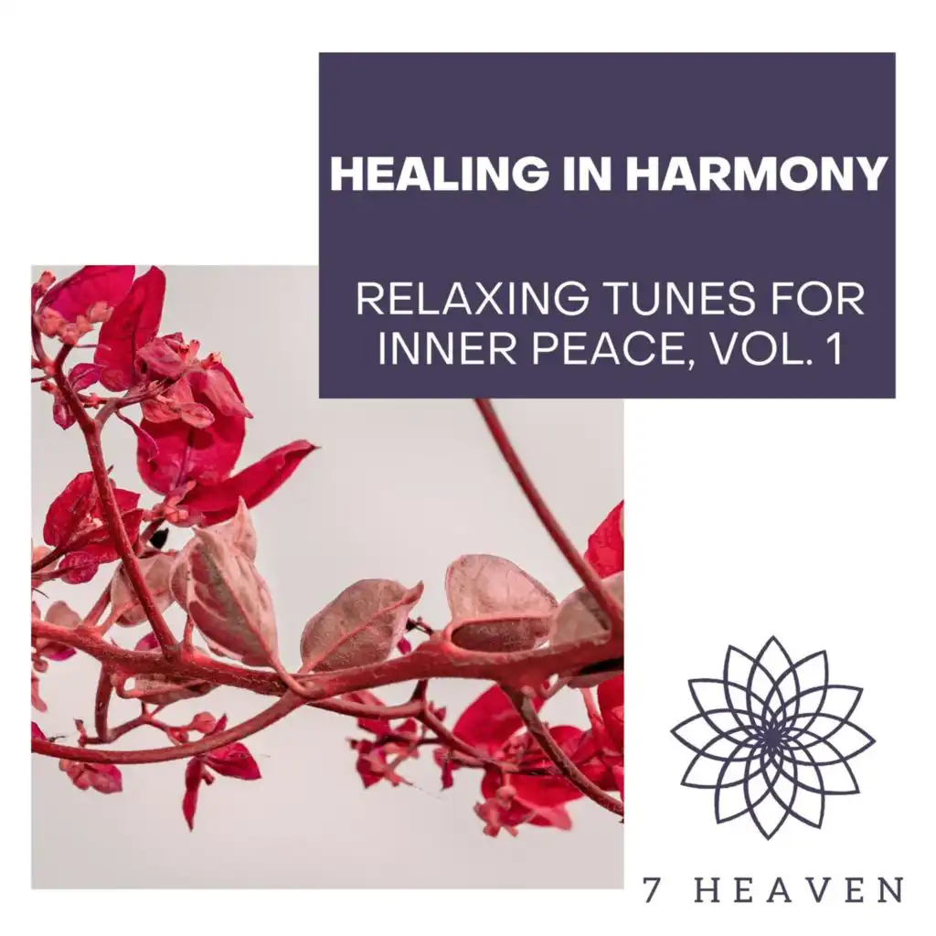 Healing In Harmony - Relaxing Tunes For Inner Peace, Vol. 1