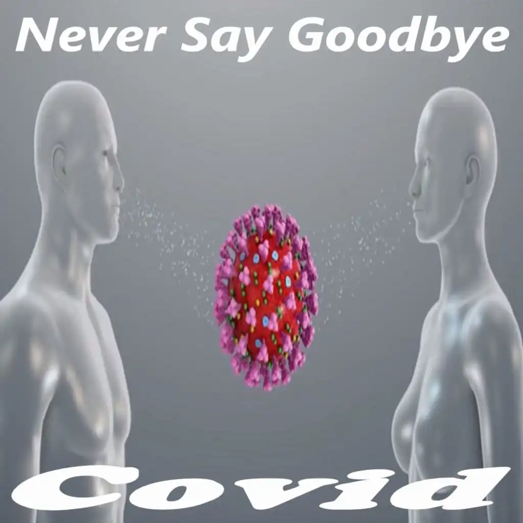 Never Say Goodbye (Instrumental)