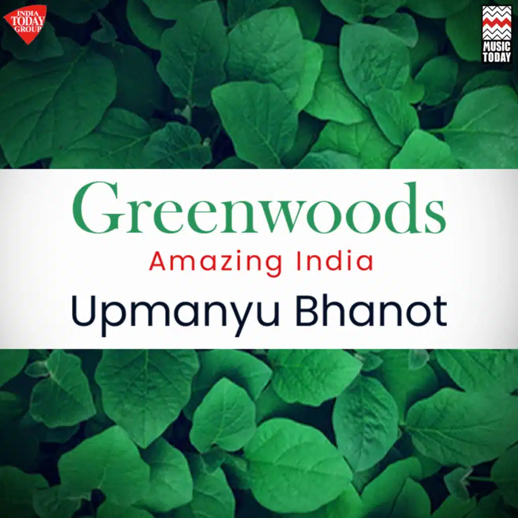Greenwoods - Amazing India