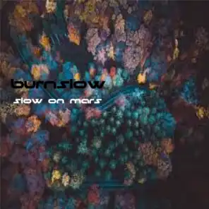 Slow on Mars (Remix) [feat. Burnslow]