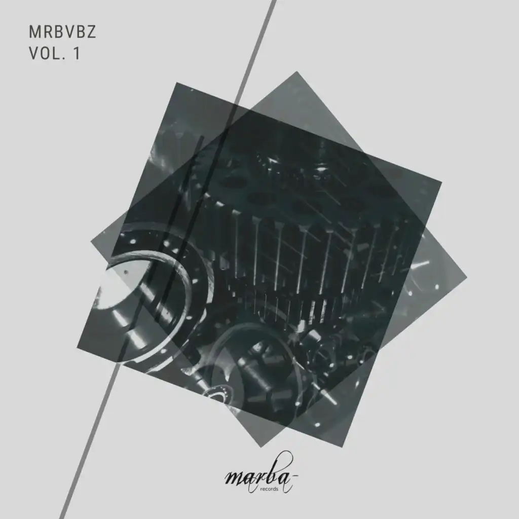 MRBVBZ Vol. 1