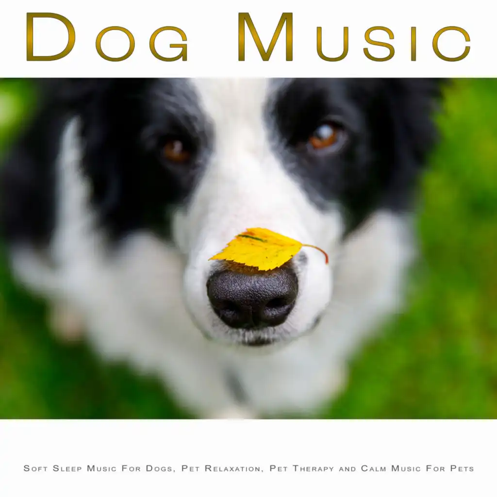 Dog Music: Soft Sleep Music For Dogs, Pet Relaxation, Pet Therapy and Calm Music For Pets