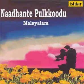 Naadhante Pulkkoodu