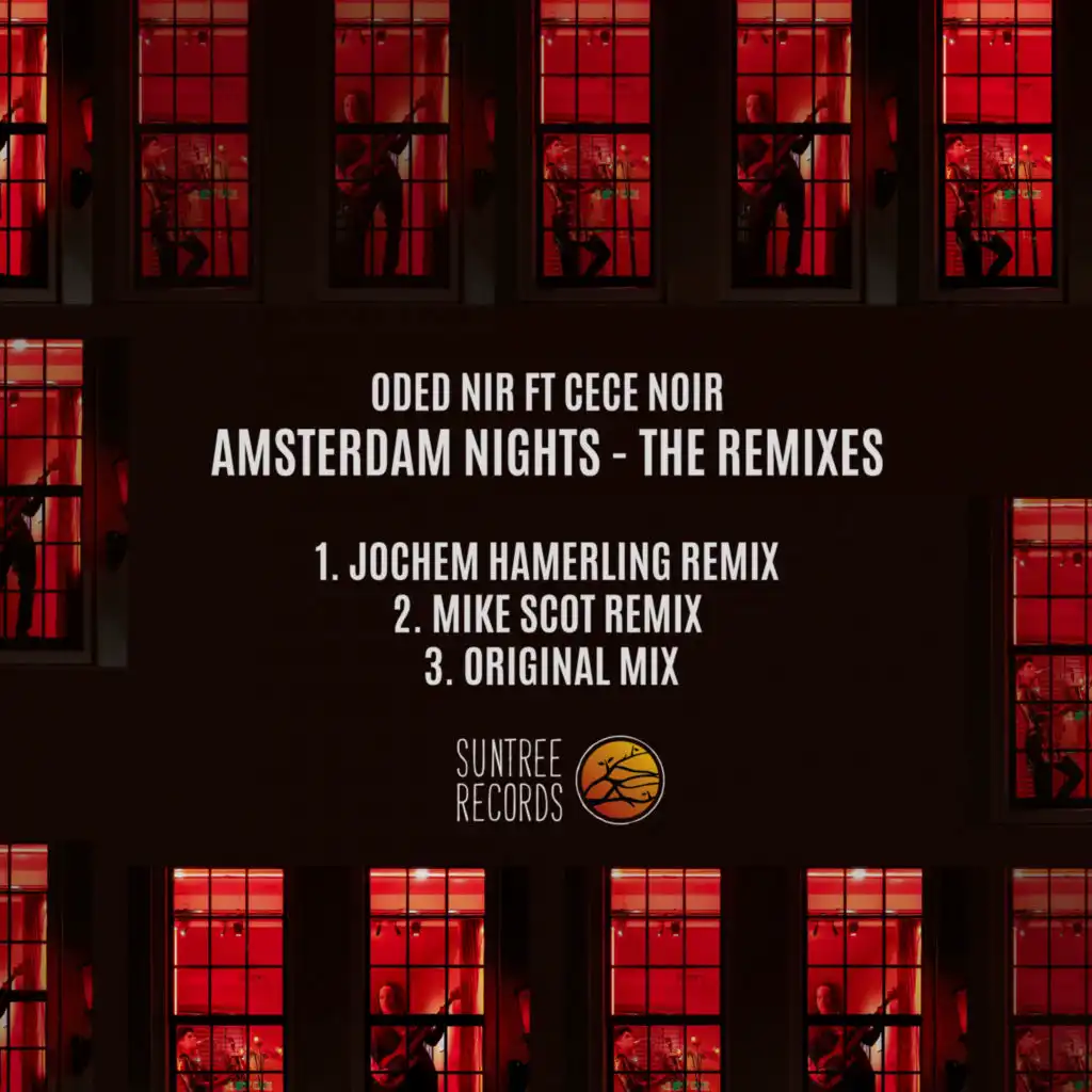 Amsterdam Nights (The Remixes) (Jochem Hamerling Remix) [feat. Cece Noir]