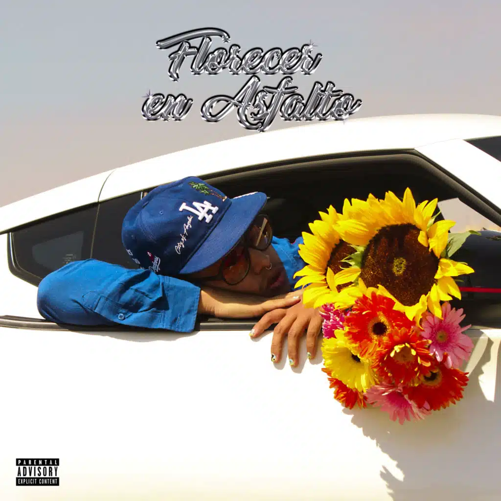Florecer en Asfalto