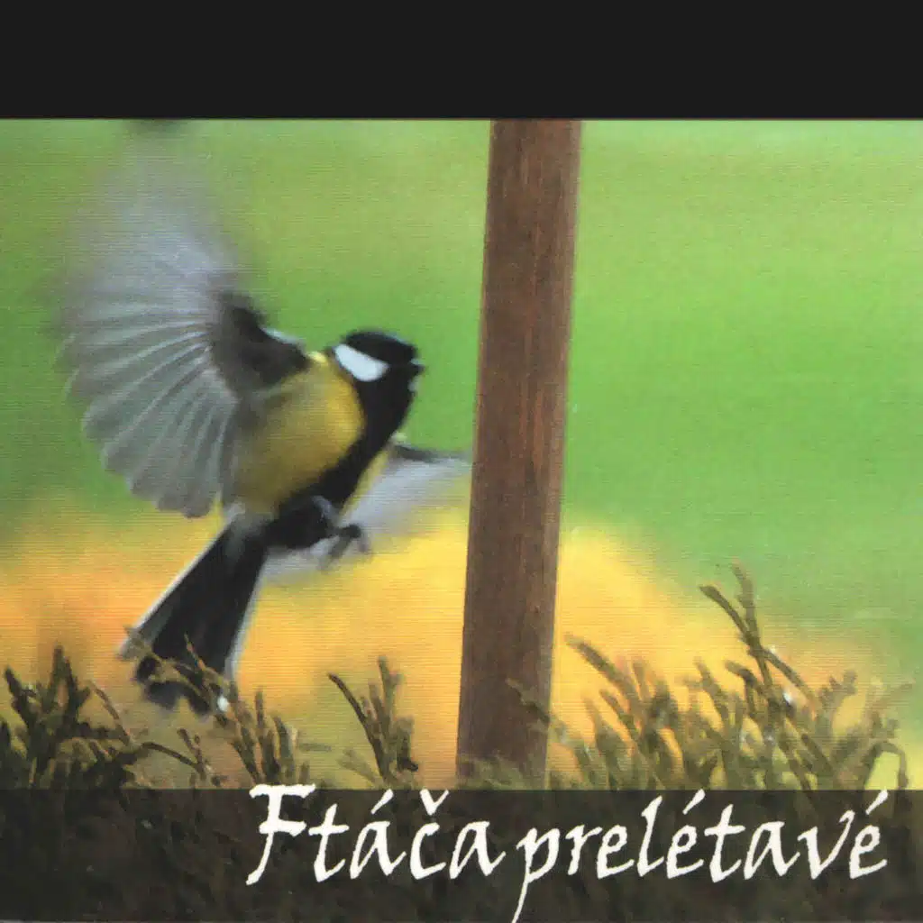 Horňácká cimbálová muzika Petra Galečky & Sboreček žen z Lipova