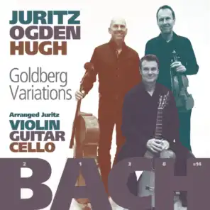 Goldberg Variations, BWV 988: XXV. Variation 25 (arr. David Juritz)