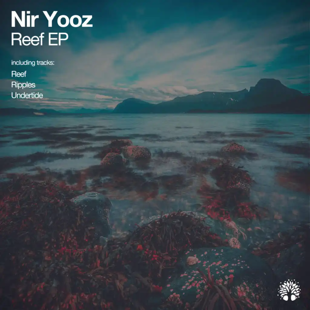 Nir Yooz