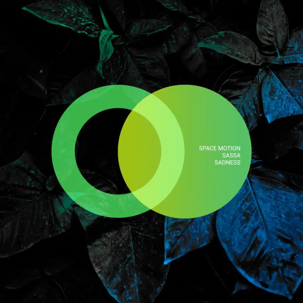 Space Motion & Sassa