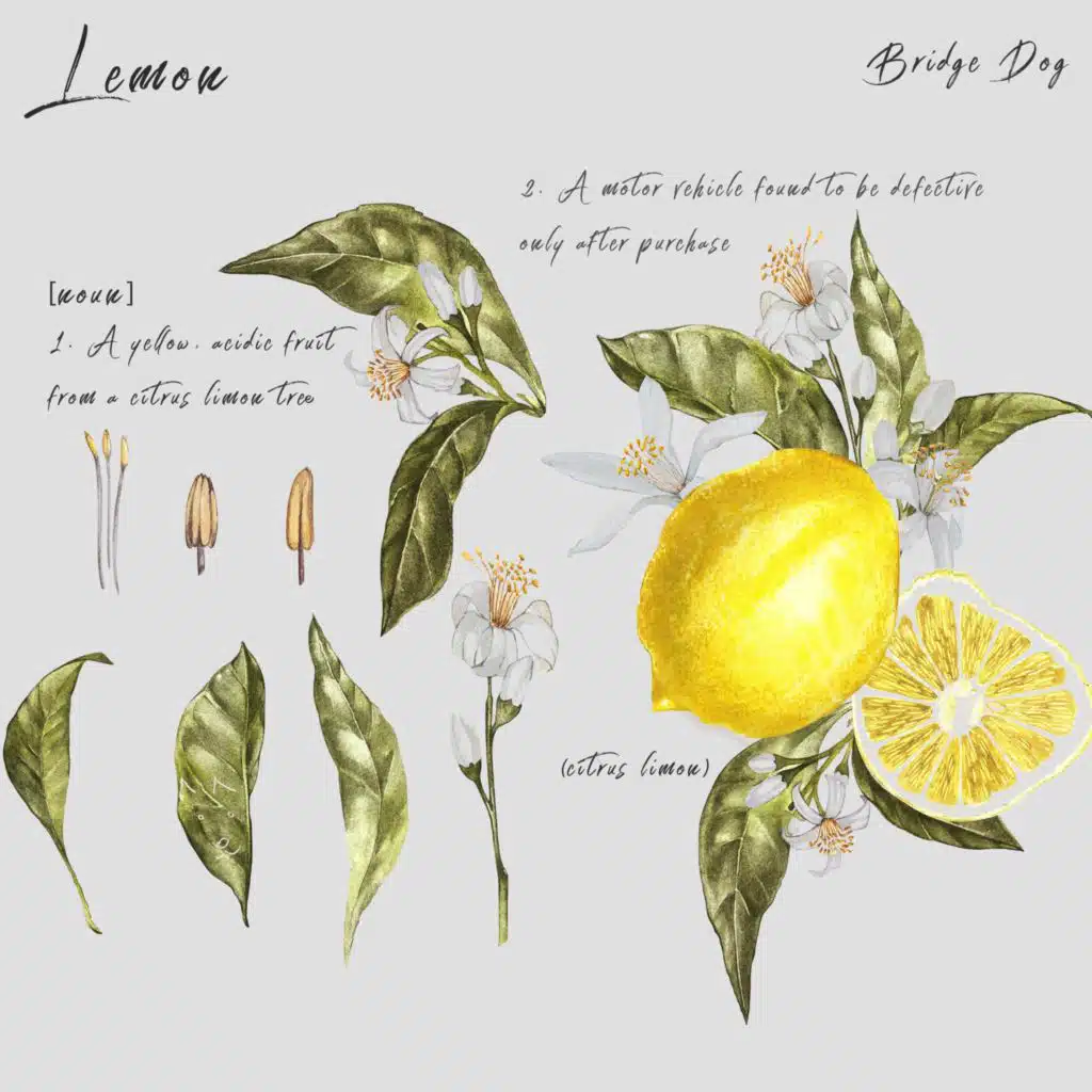 Lemon