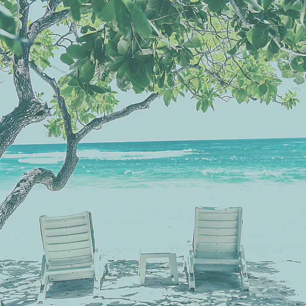 Relaxing Beach Music Collections