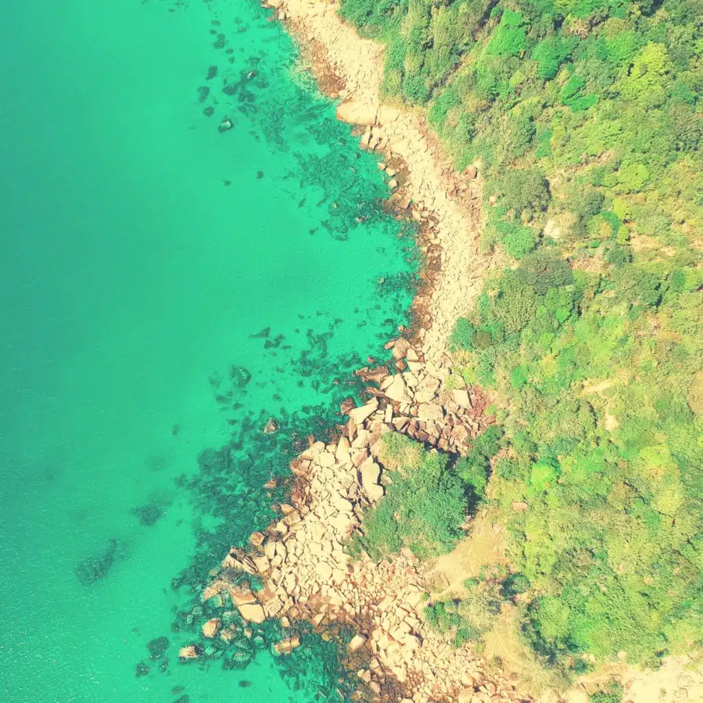 Lively Moods for Vacations