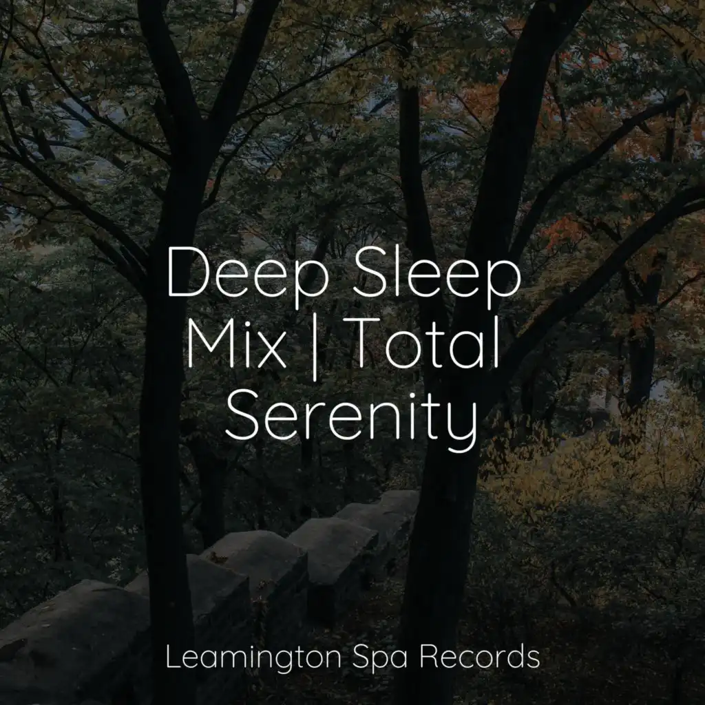 Deep Sleep Mix | Total Serenity