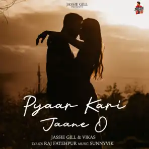 Pyaar Kari Jaane O (feat. Vikas)