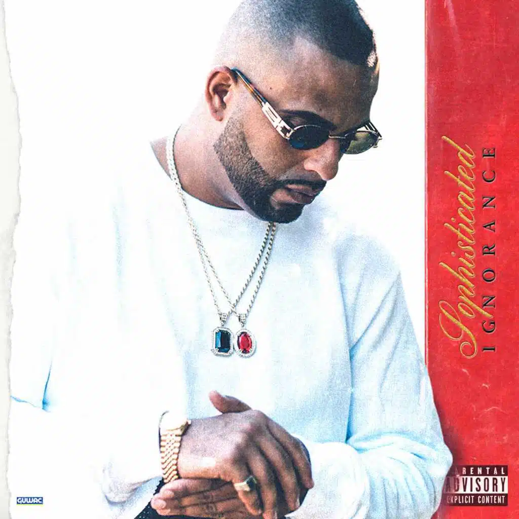 Sophisticated Ignorance