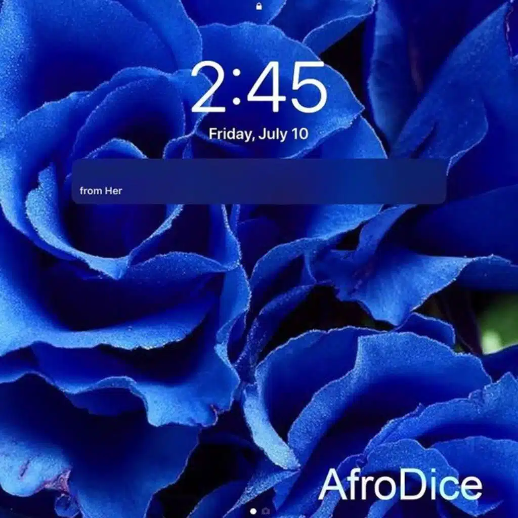 AfroDice