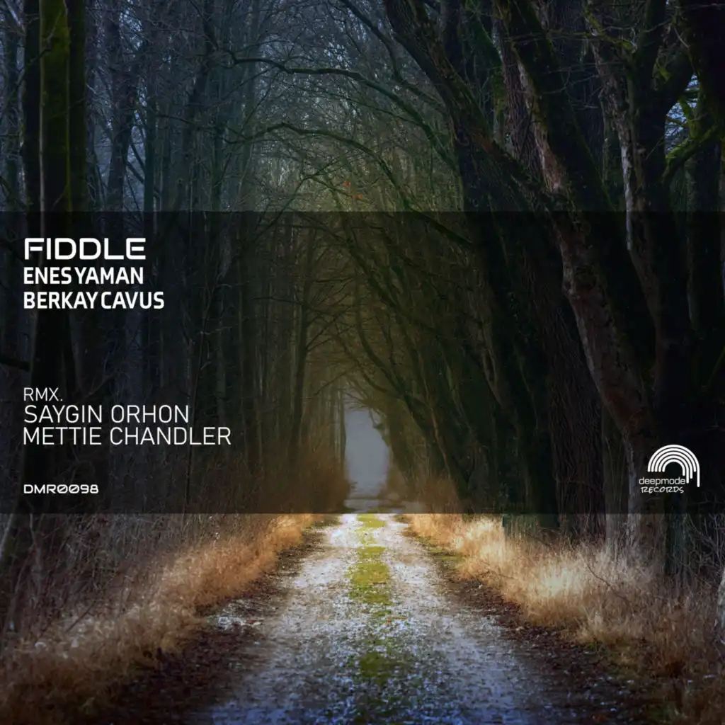 Fiddle (Saygın Orhon Remix)