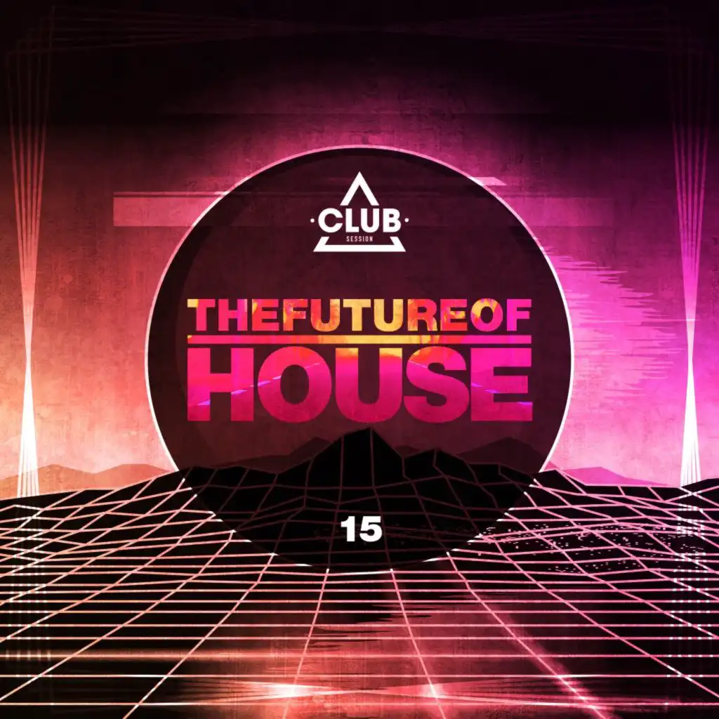 The Future of House, Vol. 15