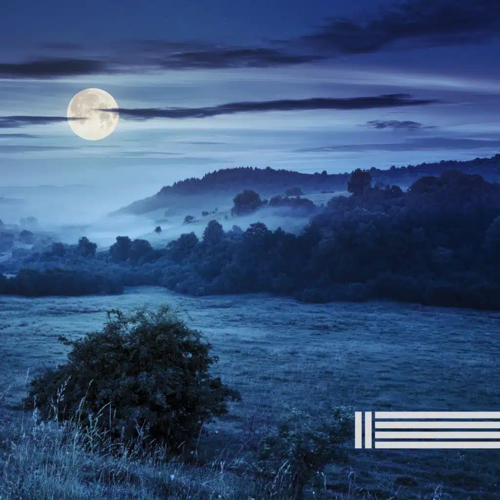 Nachtgrillen Zum Schlafen (Loop, Kein Verblassen)