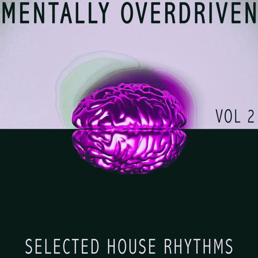 Mentally Overdriven Vol 2 - Selected House Rhythms